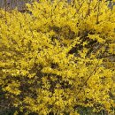 조은요양보호사교육원 | 진접읍 장현 시내 "제일조은요양보호사교육원"이 있어요