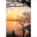 여주-0629 티스토리