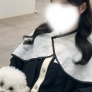 오다컨설팅