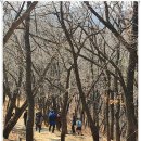 동문장어 이미지