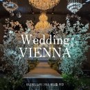 비엔나 | 대구 웨딩홀 추천 달서구 웨딩비엔나 방문 후기