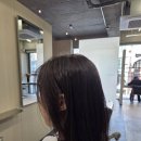 영 | 여성탈모 청미정 다시마샴푸 라보에이치 올리브영 내돈내산 후기