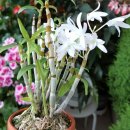 선달농장 이미지