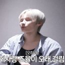 나가투어 Daum카페