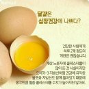 계란으로 건강지키는 10가지 방법 이미지