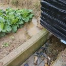 덕분농장 이미지