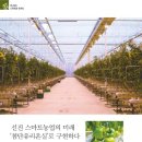 부여원예영농조합 이미지