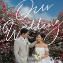 동백바다 | [제주 웨딩스냅 추천] '기무 스냅' 후기! 바다, 동백, 사려니숲길 제주웨딩사진 후기 및 준비 꿀팁...