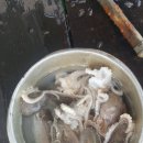 훼미리호 좌대낚시터 이미지