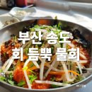 동해물회 | 부산 송도 물회 동해횟집 혼밥, 1인 냉면물회 구성과 솔직 후기