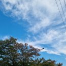 범어목련아파트 상가 앞 | 범어역 미용실 해피니언 대구범어동W점 가을겨울 톤다운 애쉬브라운 염색 후기💕