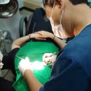 365석치과의원 이미지