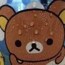 리사앤플라워 이미지