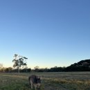 웨스턴헤이(주) 이미지