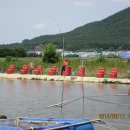 파라솔장어 이미지