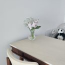 솜마-가 이미지