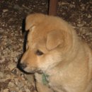 3초 삼겹살 이미지