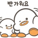 히어로보드게임카페범계점