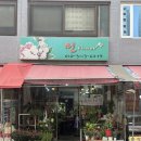 초록꽃집 - 춘천시 영서로 2352-21 | 헬리오시티 꽃집 민플라워 초록식물 가득한 힐링 공간 들꽃다발 주문 후기