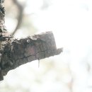 중앙공원 산책로 이미지