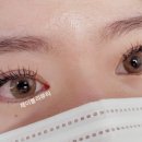 제이블리뷰티 - 21356 | 제이블리뷰티
