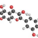 버썸버디짐 이미지