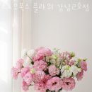 스노우폭스플라워강남 이미지