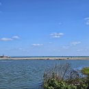 동막자연횟집민박 | 주차, 단체 걱정 없는 바다 바로 앞 감포단체맛집 만수로회센터 한상차림 후기