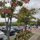 연무대 | [수원 가볼만한 곳] 수원화성 1부 성곽길 코스 (지동시장→연무대) 후기