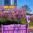 배럴댄하우스