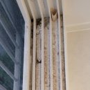 광교쌍용포레듀엔3단지아파트 이미지