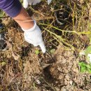 요선마을 이미지