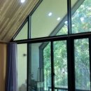 운암애견 이미지