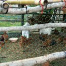 꾸꾸스테이 이미지