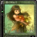 님프플라워 이미지