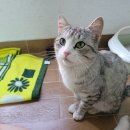 법원로 10 (3) 이미지