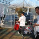 에덴의 집 이미지