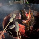 물빛정원펜션 이미지