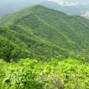 봉산약수터 이미지