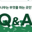 책나무 도서관 이미지