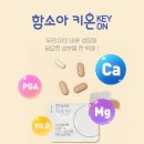 키온 이미지