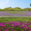 최고자원 이미지