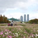 태화강국가정원 이미지