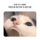 카페이플 - 김포시 봉수대로 1850-63 | 카페이플