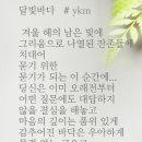 달빛바다 Daum카페