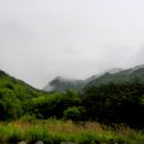 자연과치유 이미지