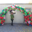 벌룬아티스트2급 자격 이미지