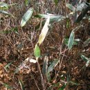 직전마을 이미지