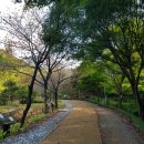 2020-582 | [ BAC 명산 100 ] 광교산