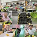 천안죽전원 이미지